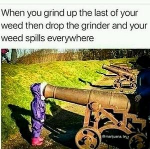 Meet your Posher, Cheyanna